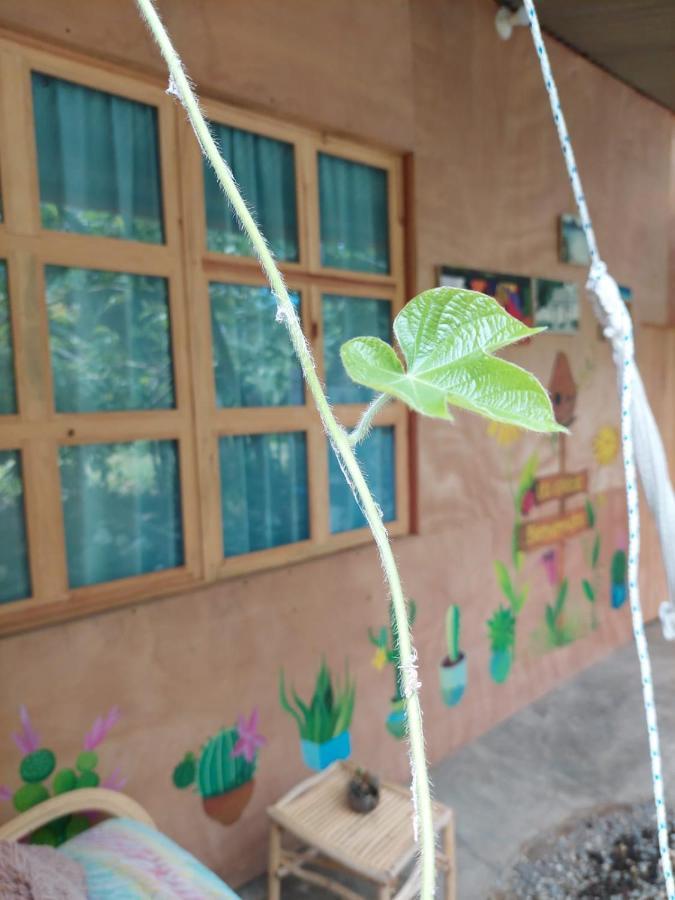 Posada Mana 圣胡安拉拉古纳 外观 照片