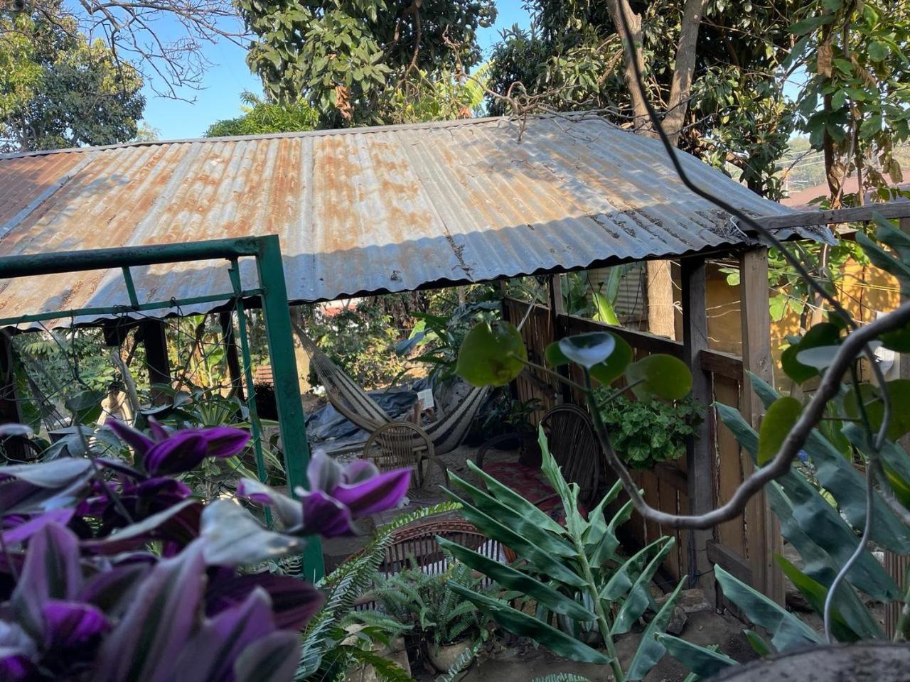 Posada Mana 圣胡安拉拉古纳 外观 照片