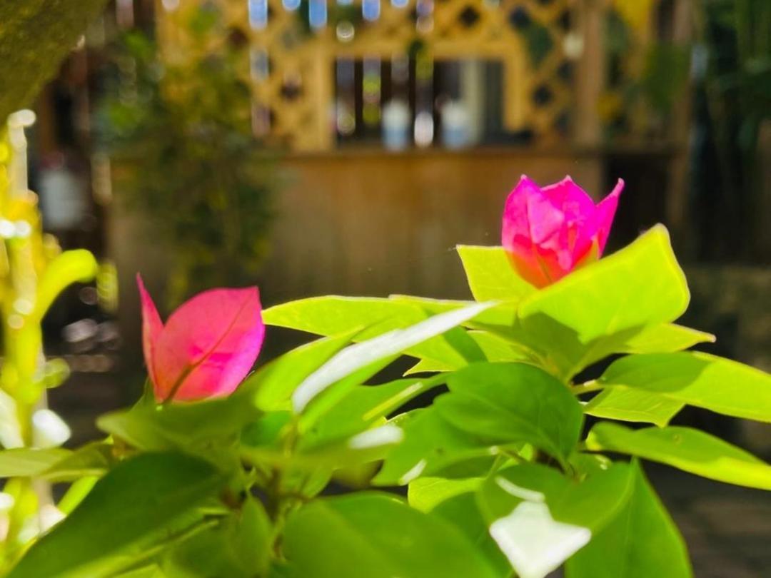 Posada Mana 圣胡安拉拉古纳 客房 照片